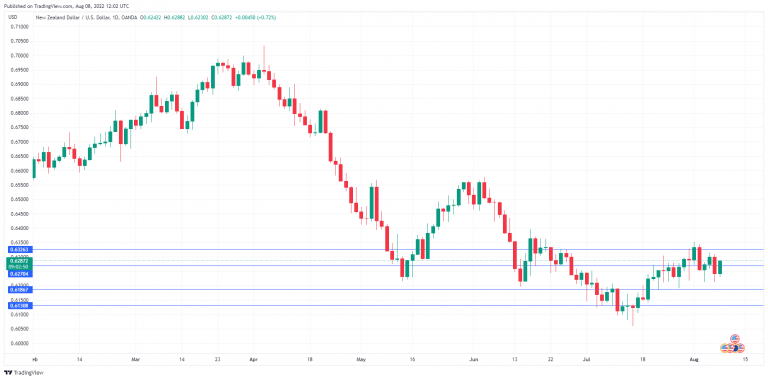 NZ dollar rebounds on inflation expectation