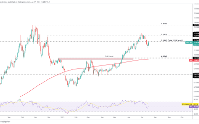 Euro clings to daily gains around 1.1000